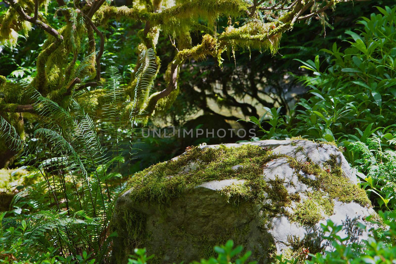 Moss Rock in Green Garden by bobkeenan