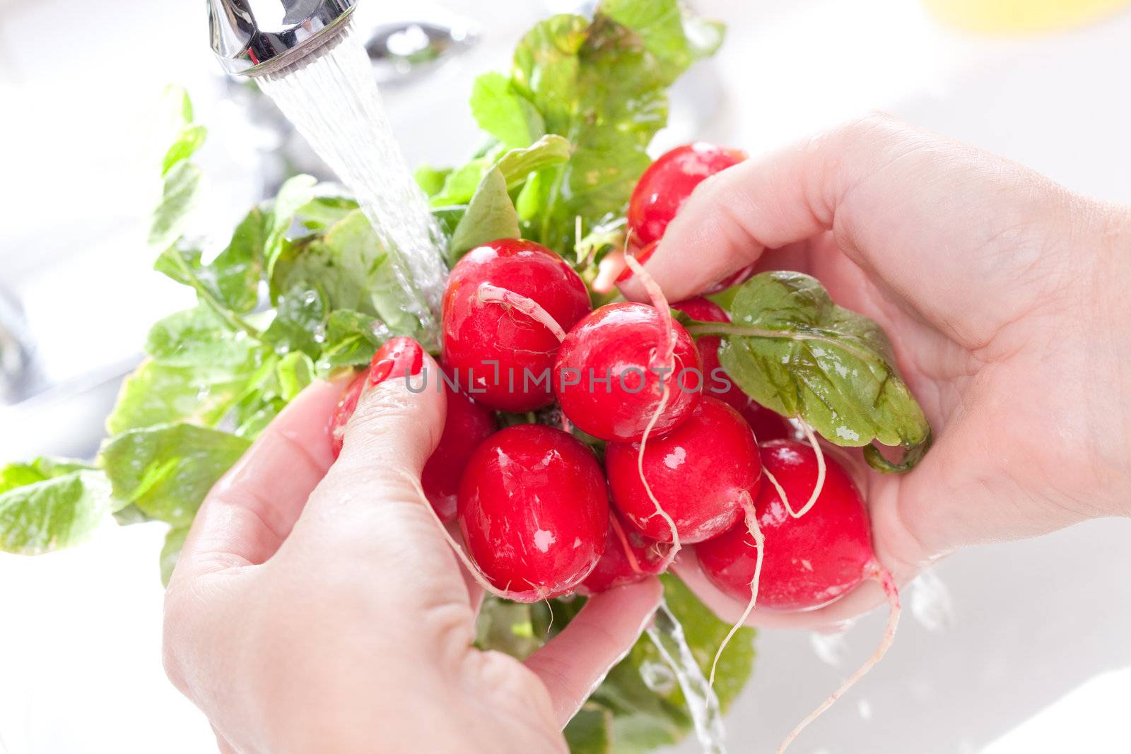 Woman Washing Radish in the Kitchen Sink.