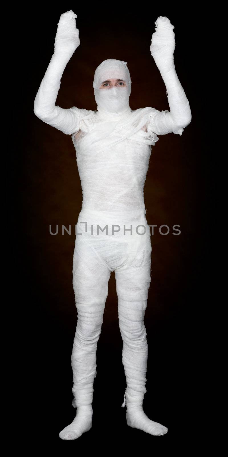 The mummy on the white black background