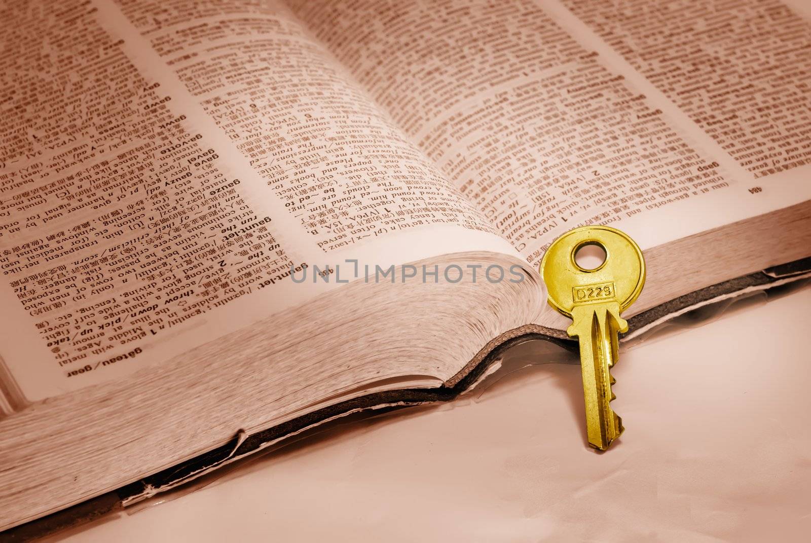 It is a the key standing in front of a book, liked guard.