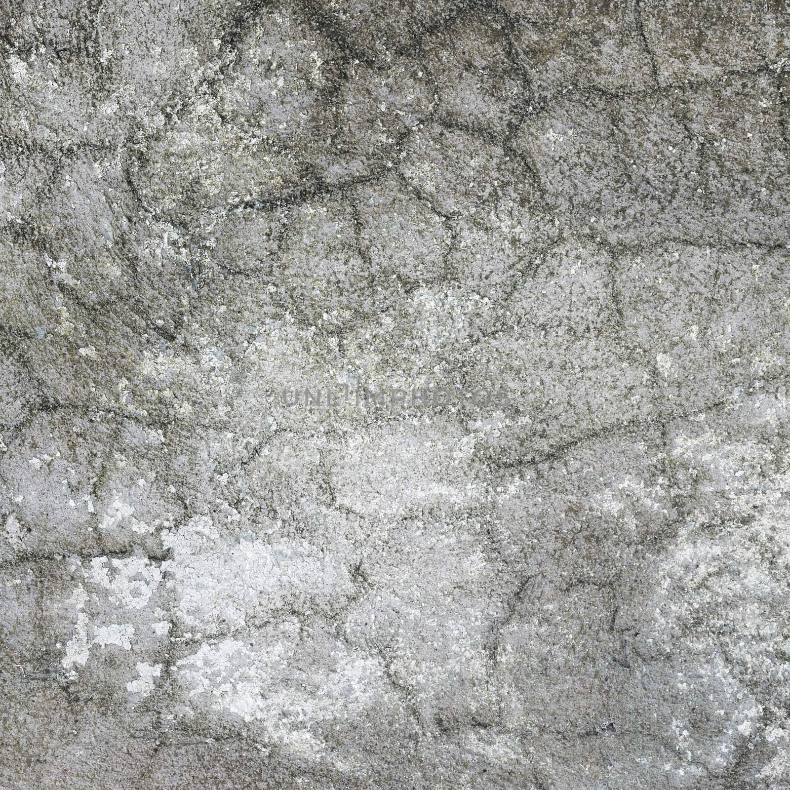 Square structure of gray rough plaster with cracks