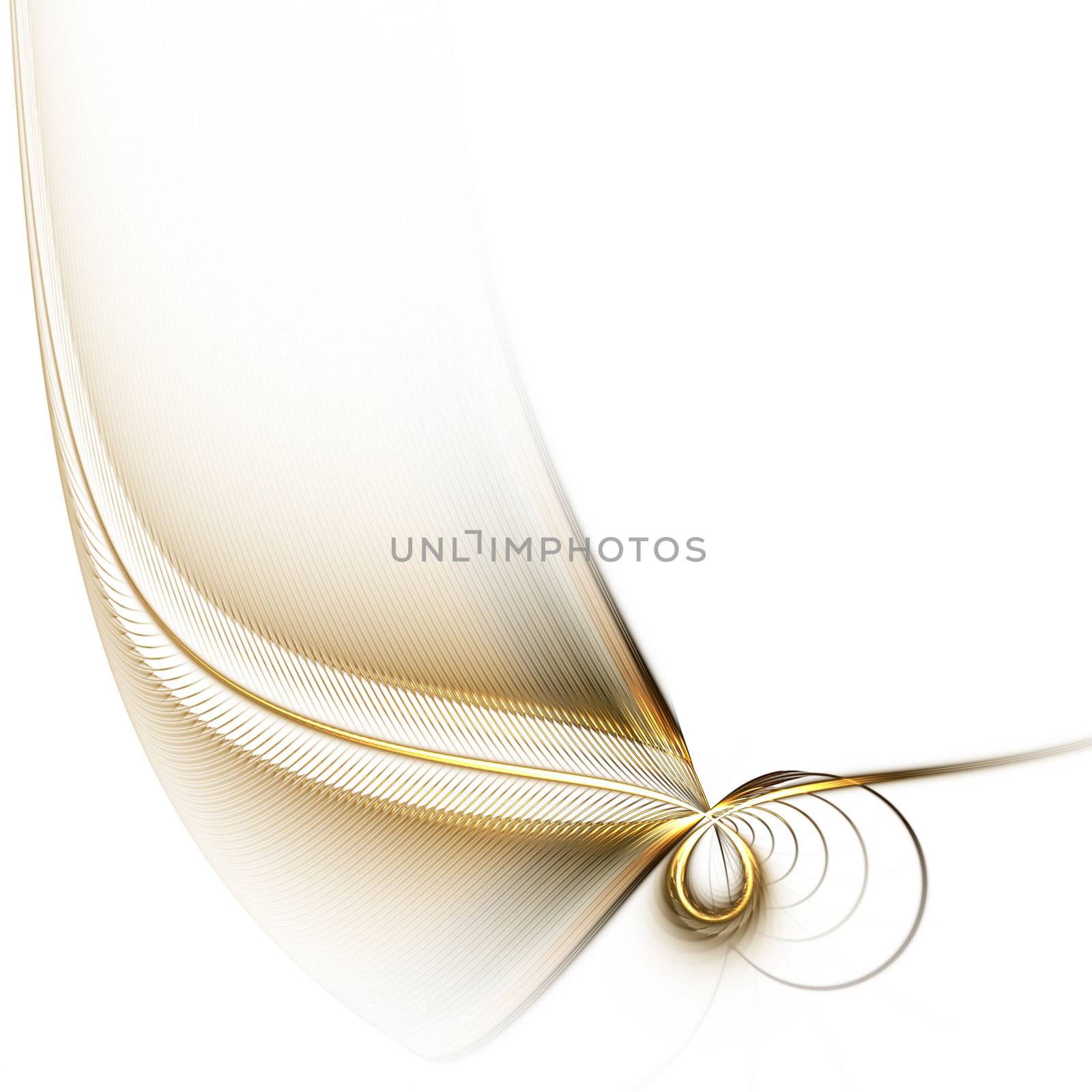 white background with stylized feather