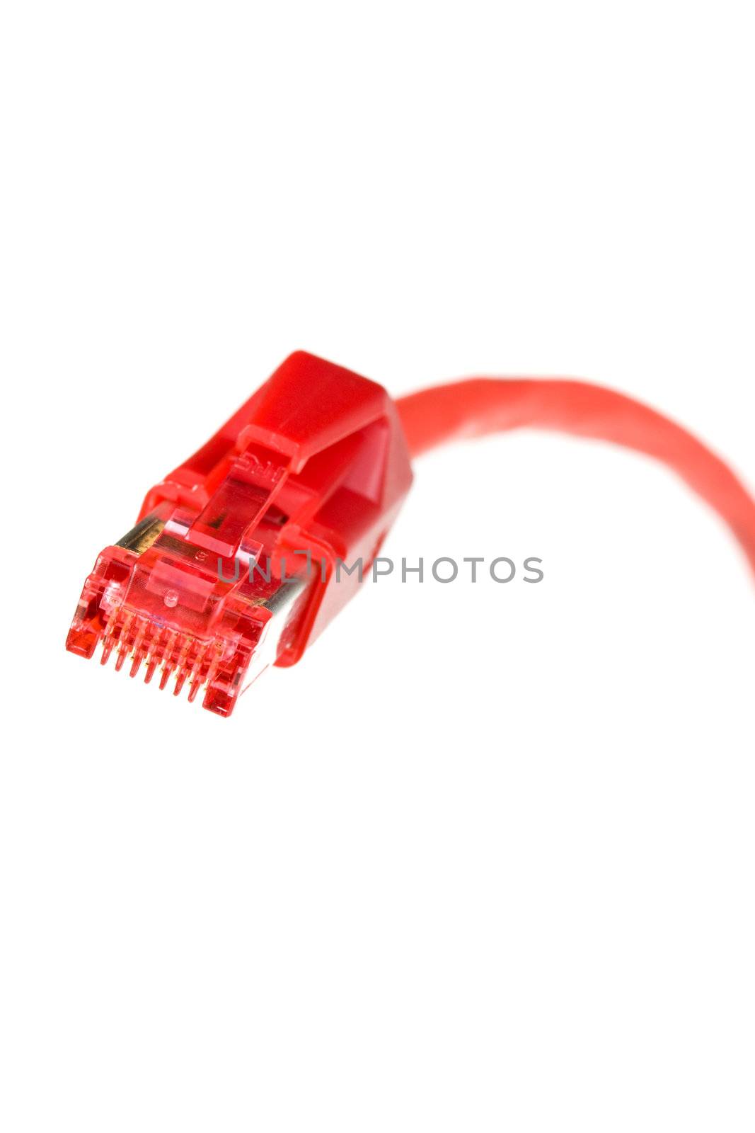 detail of a computer plug isolated on white background by bernjuer