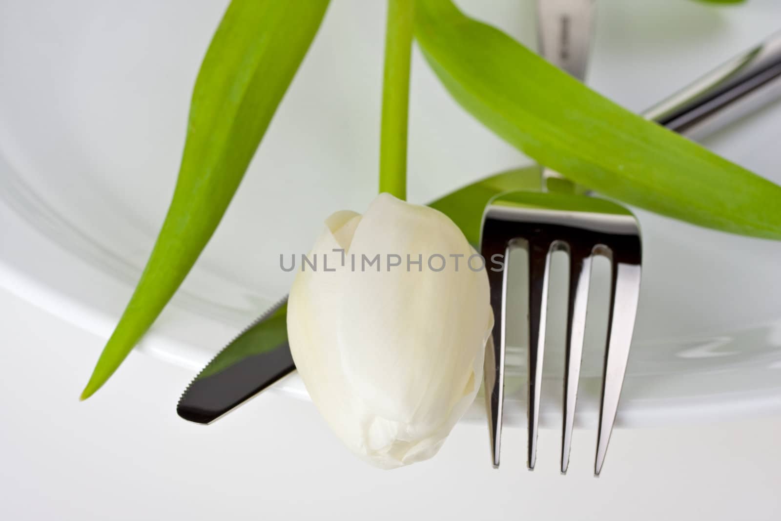 tulip,knife and fork on a white plate isolated