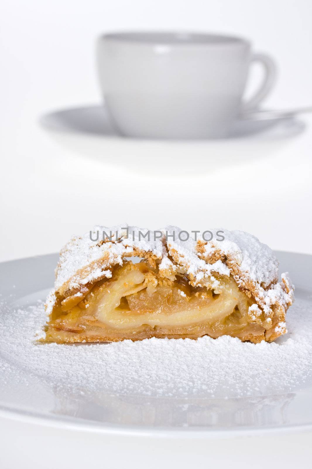 detail of an apple strudel with icing sugar