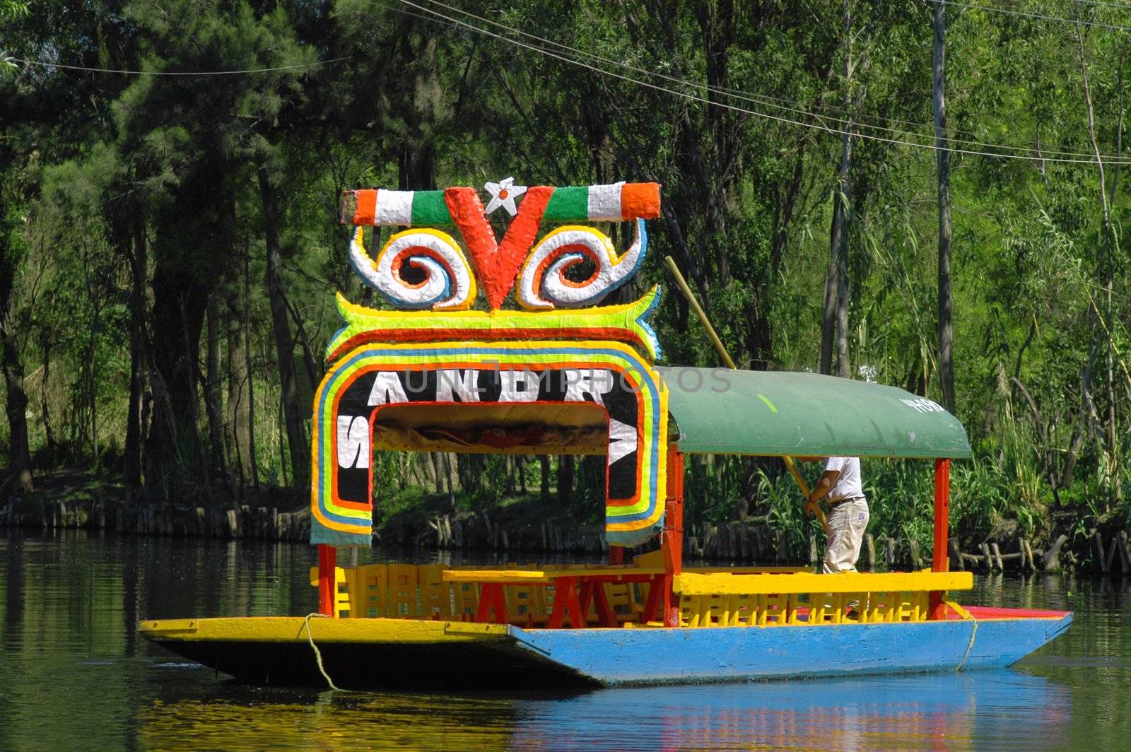 Floating garden on boat in Mexico city, Xochimilco