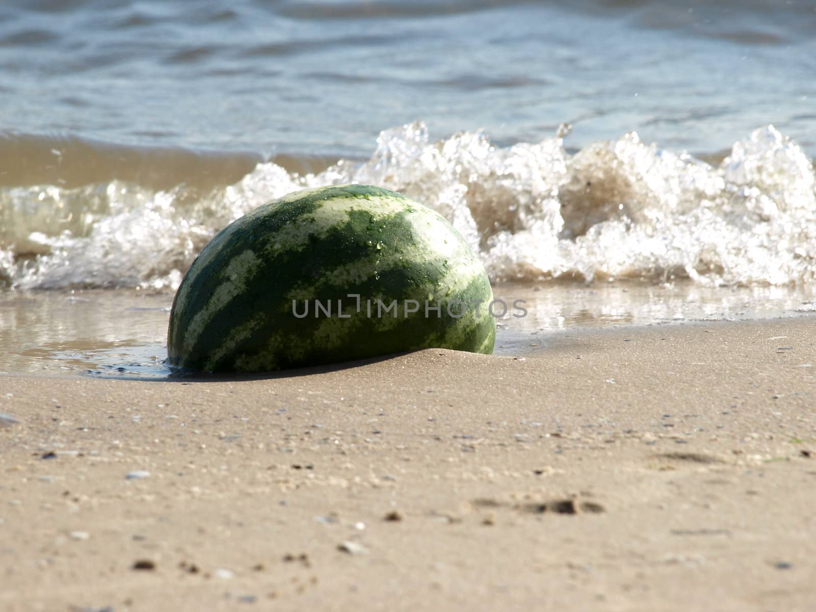 Water-melon by Bedolaga