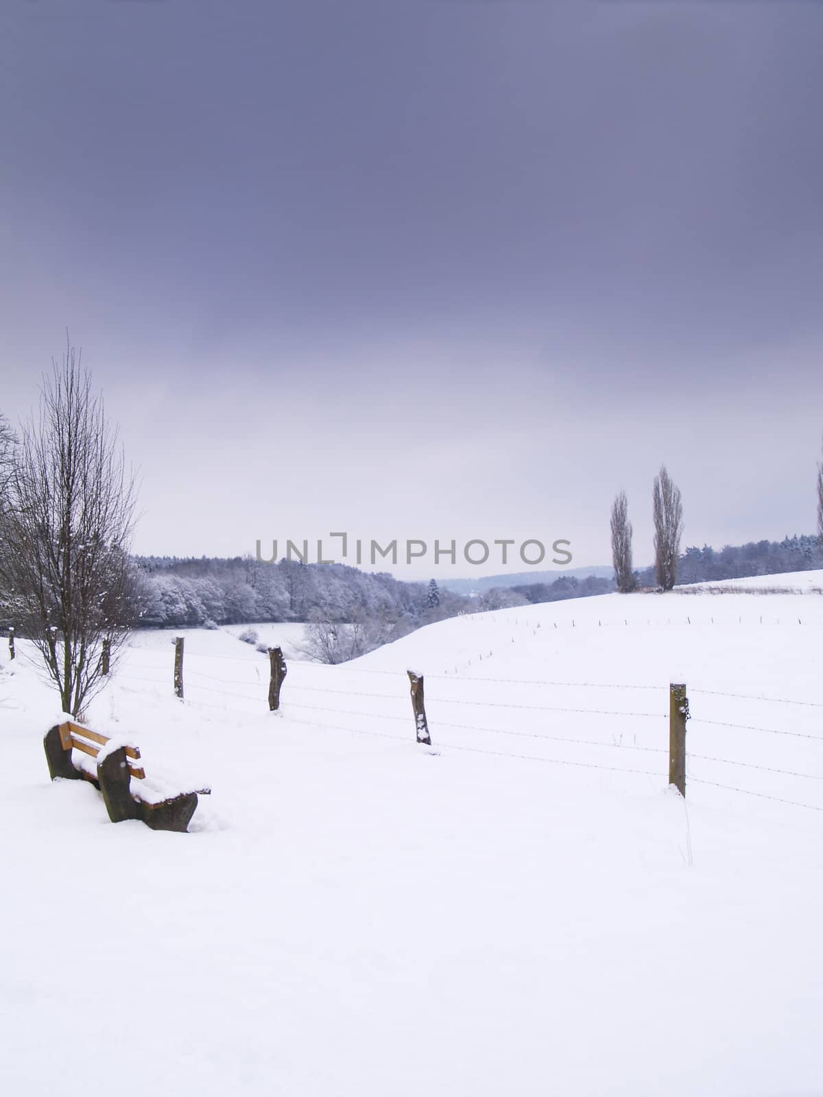 Bench in winterly snow covered german Landscape