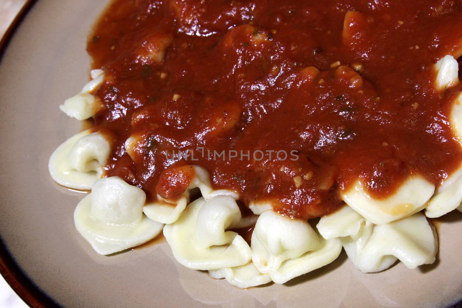A tortellini and basil tomato sauce on a plate.
