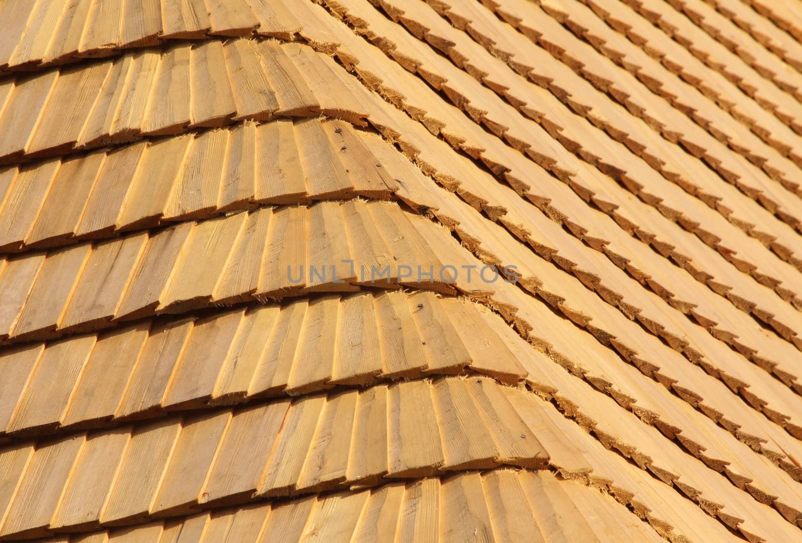abstract background from the wood shingle roof.