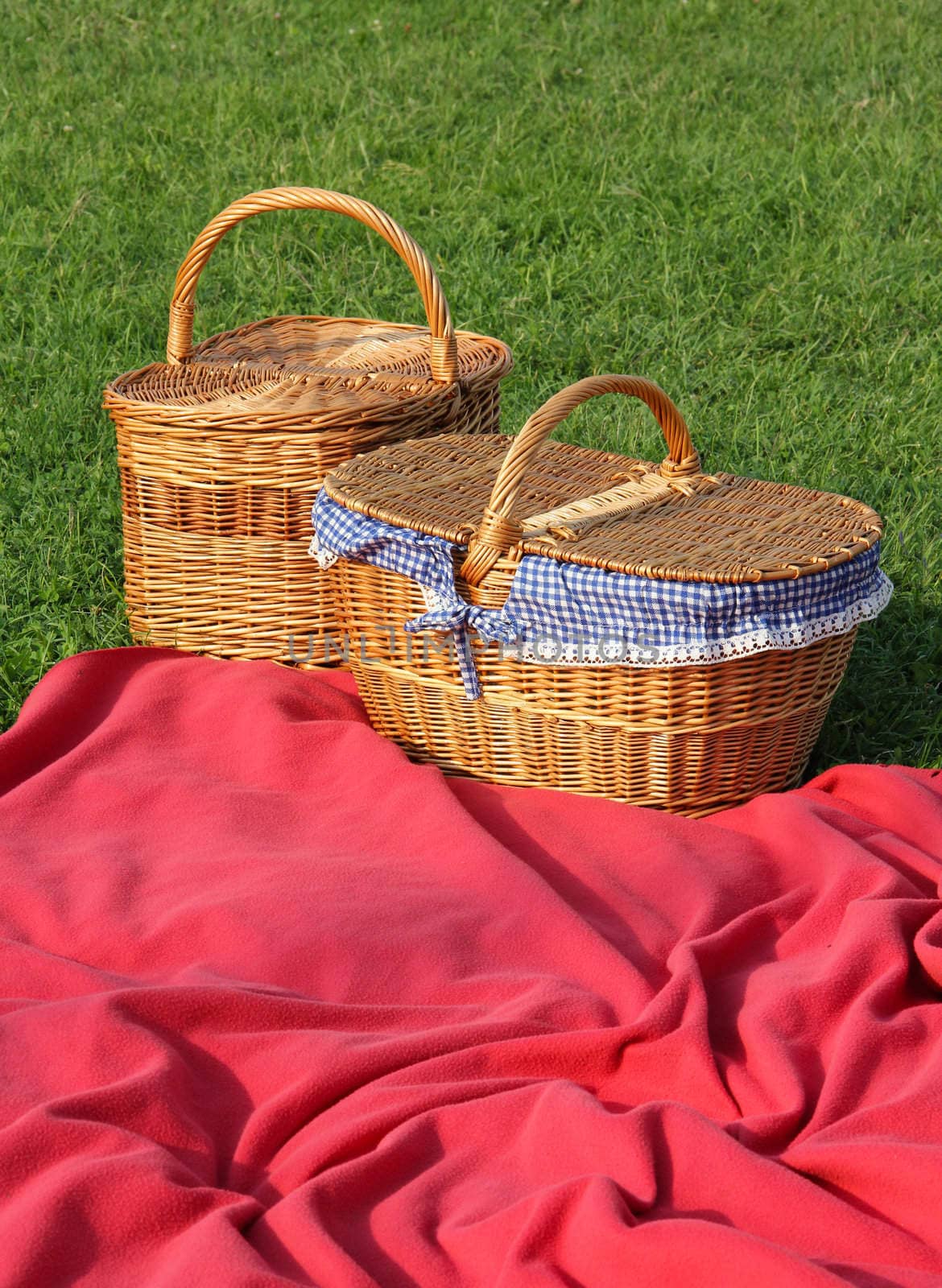 Picnic baskets and blankets in the grass.