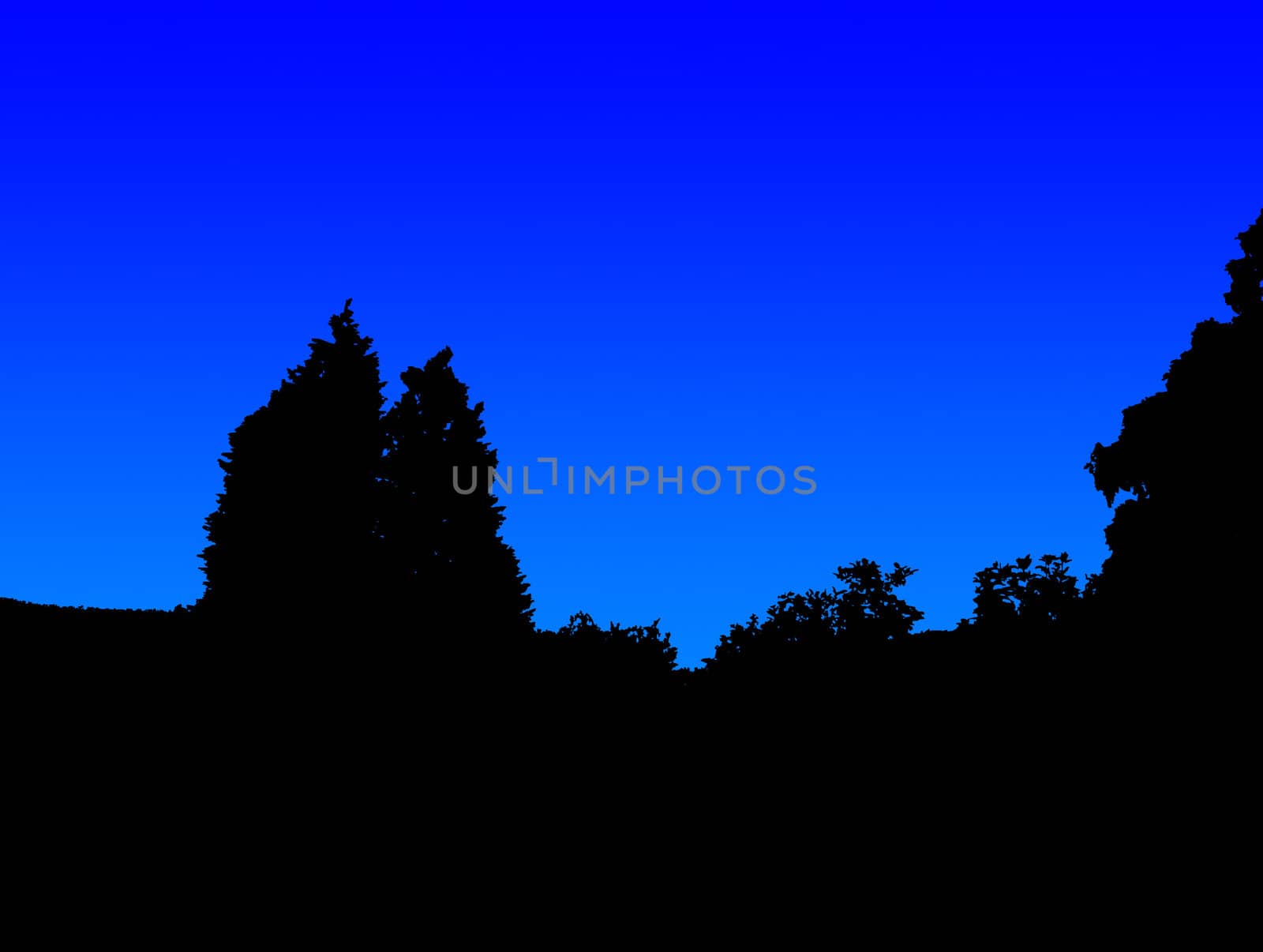 A silhouette of a tree and vegetation at night.
