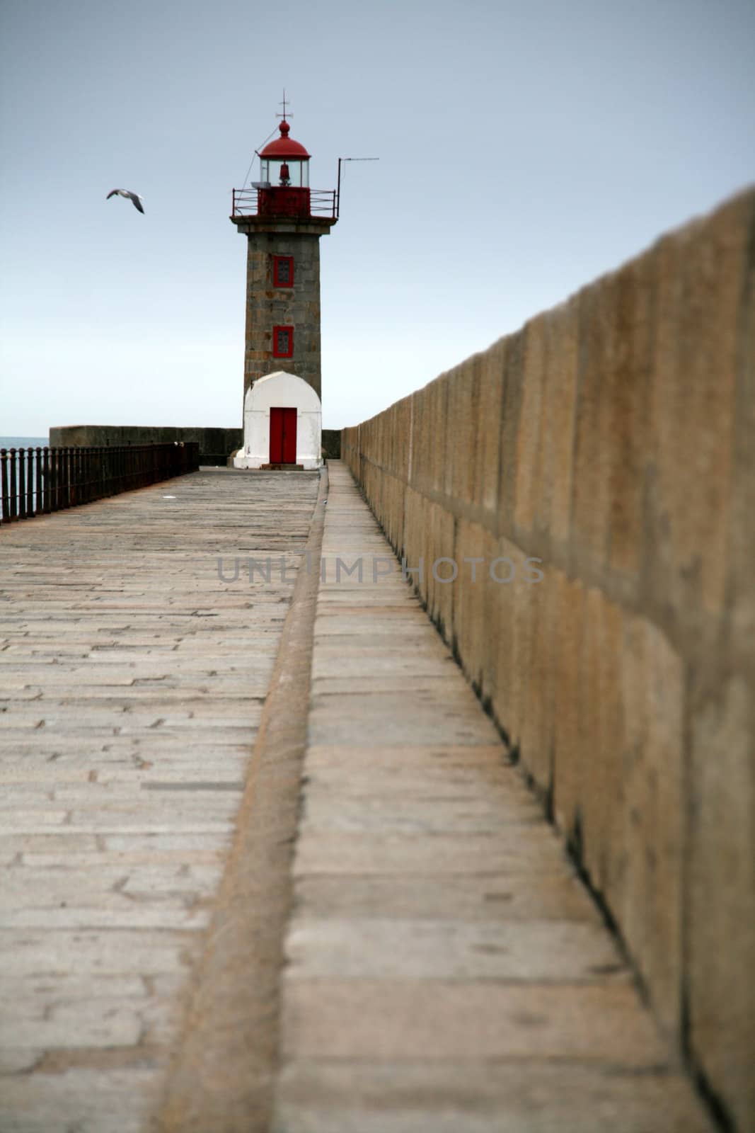 beautiful lighthouse in the oporto coast