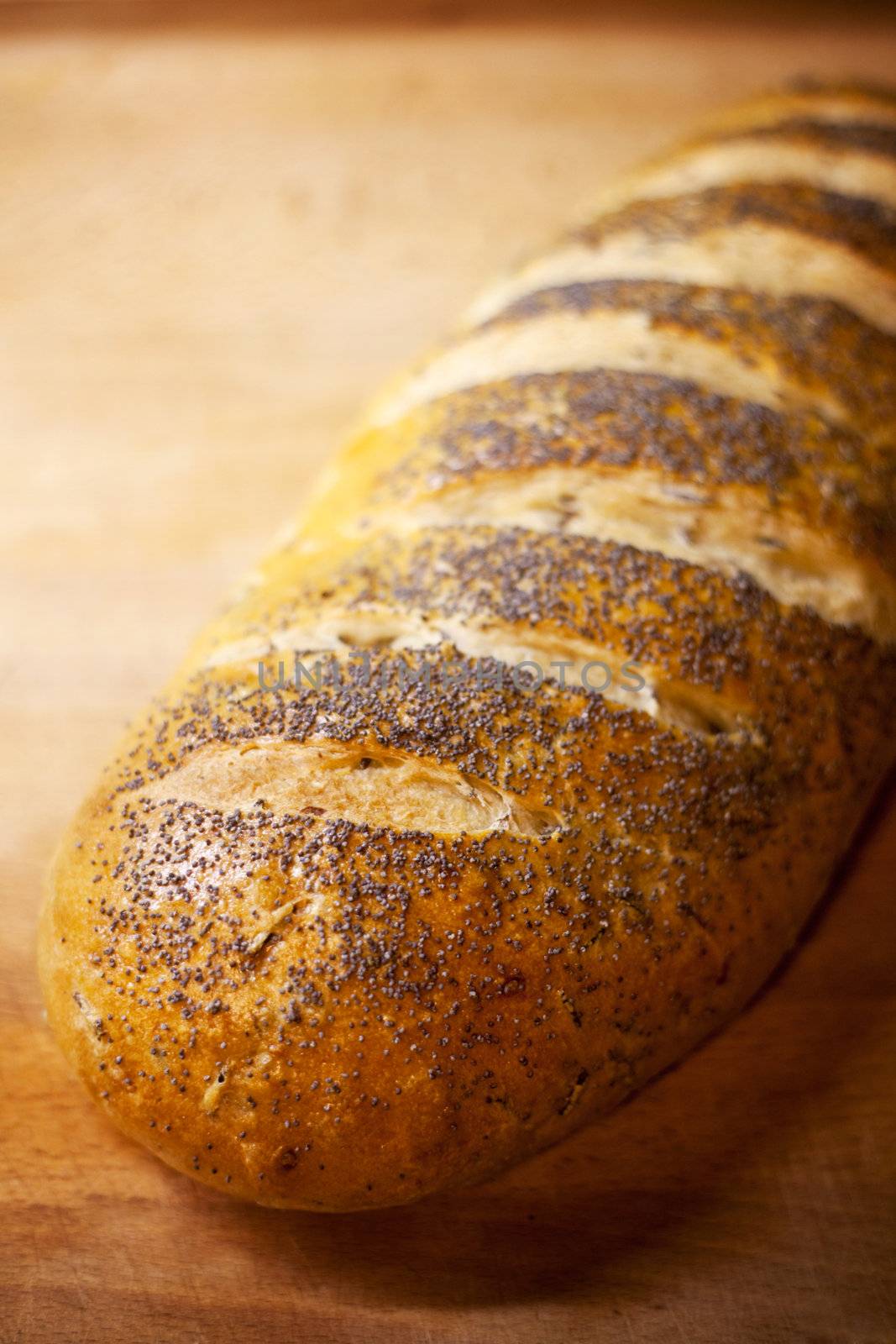 Fresh home-made onion and rice bread garnished with poppy seeds