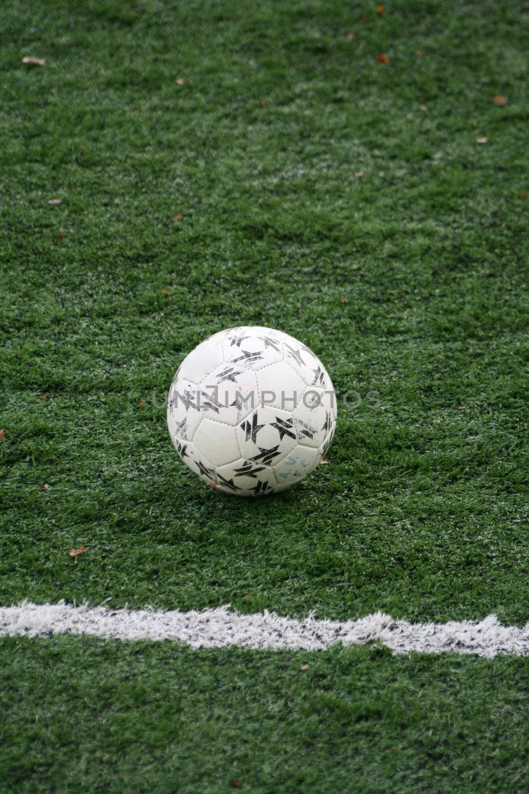 soccer ball in the green grass