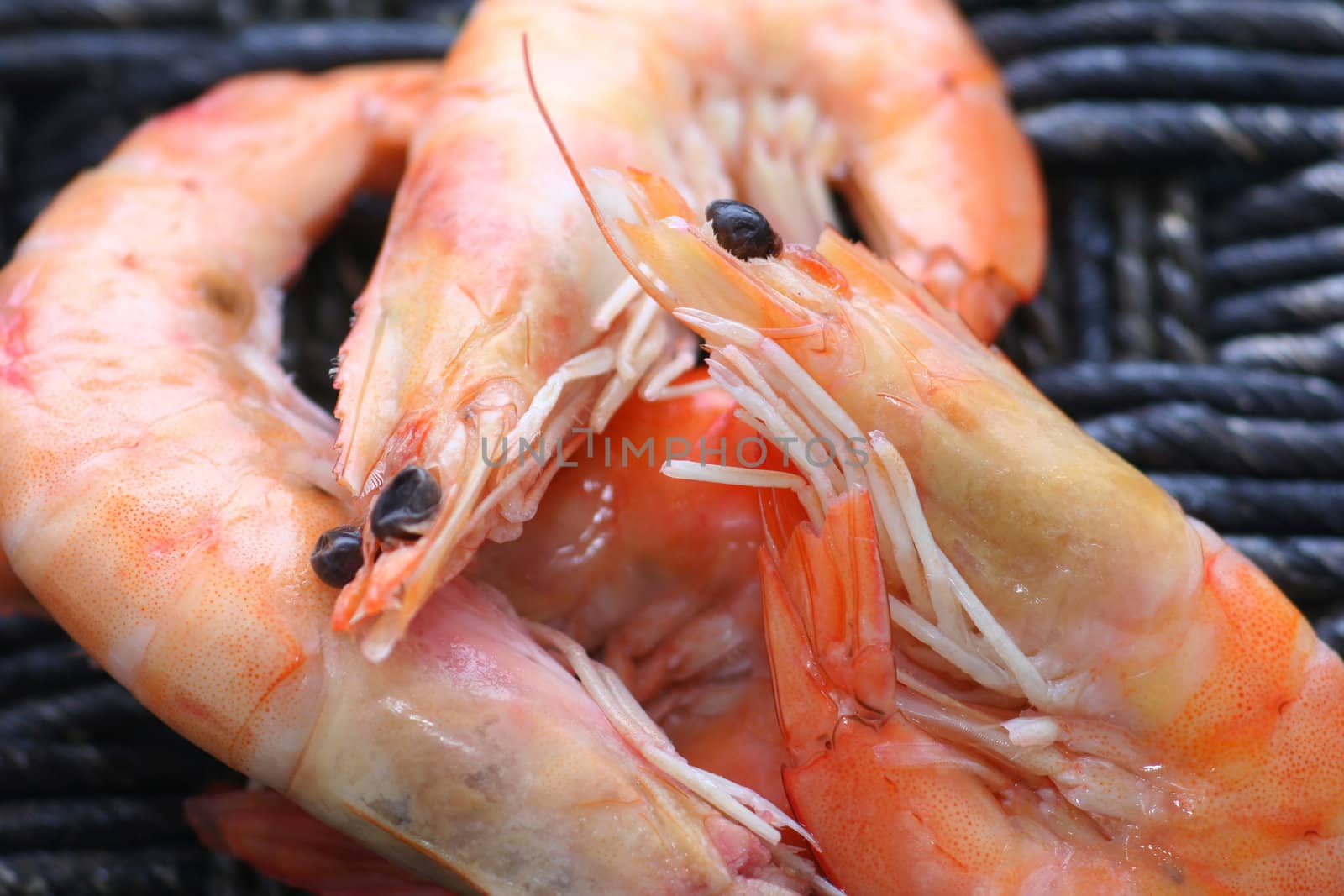 Prawns