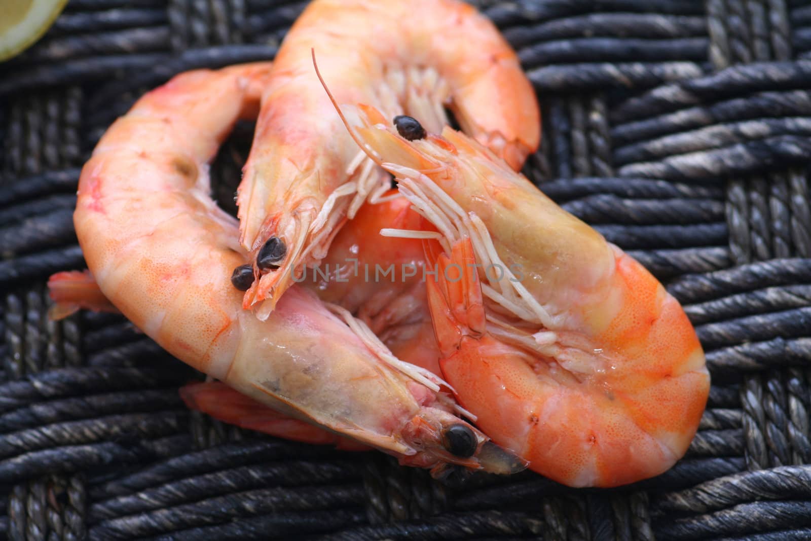 Prawns