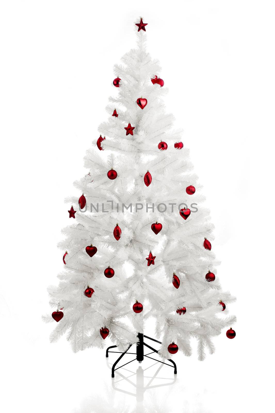 Christmas Tree by Iko