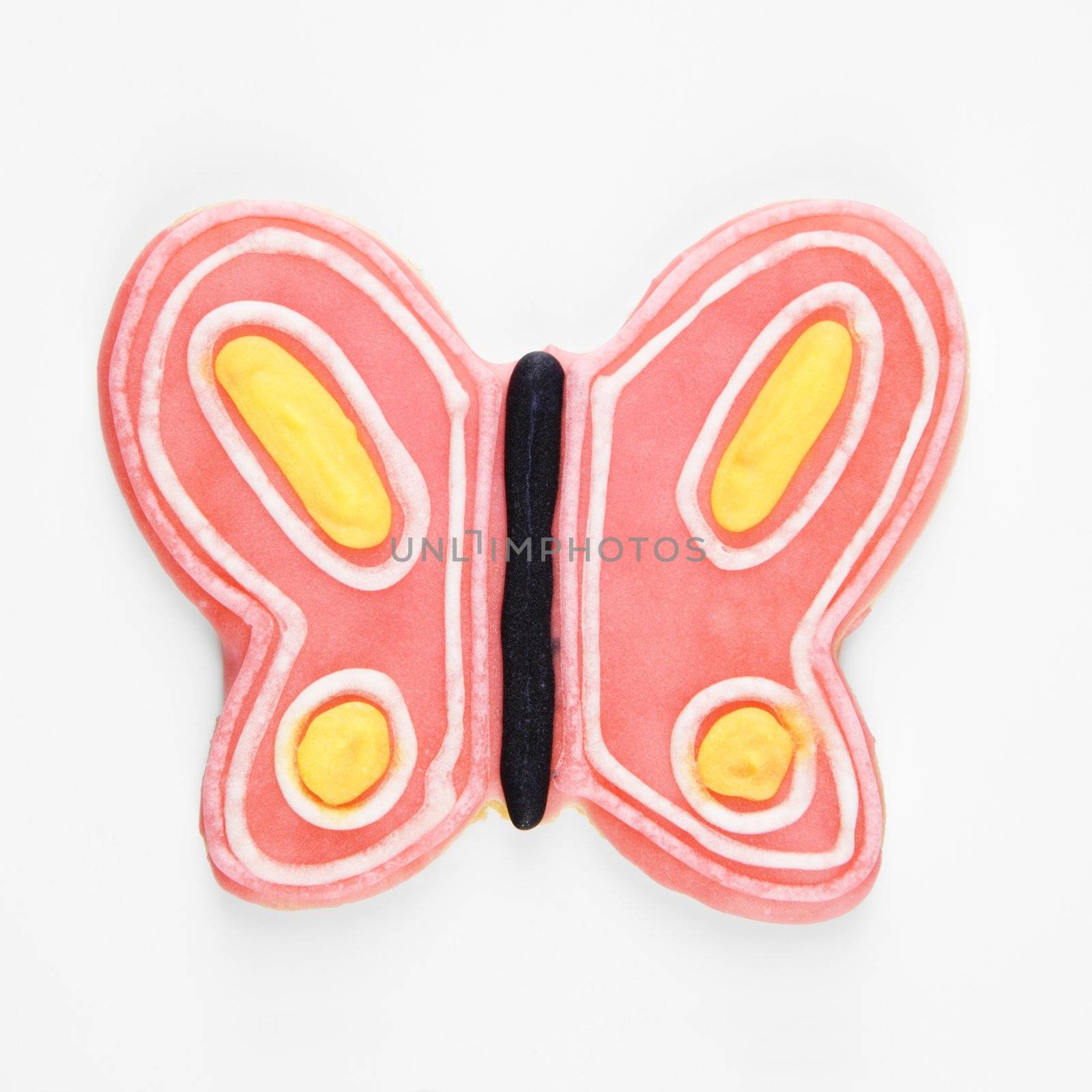 Butterfly sugar cookie with decorative icing.