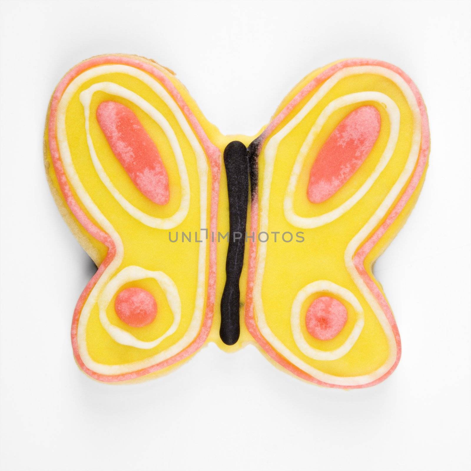 Butterfly sugar cookie with decorative icing.