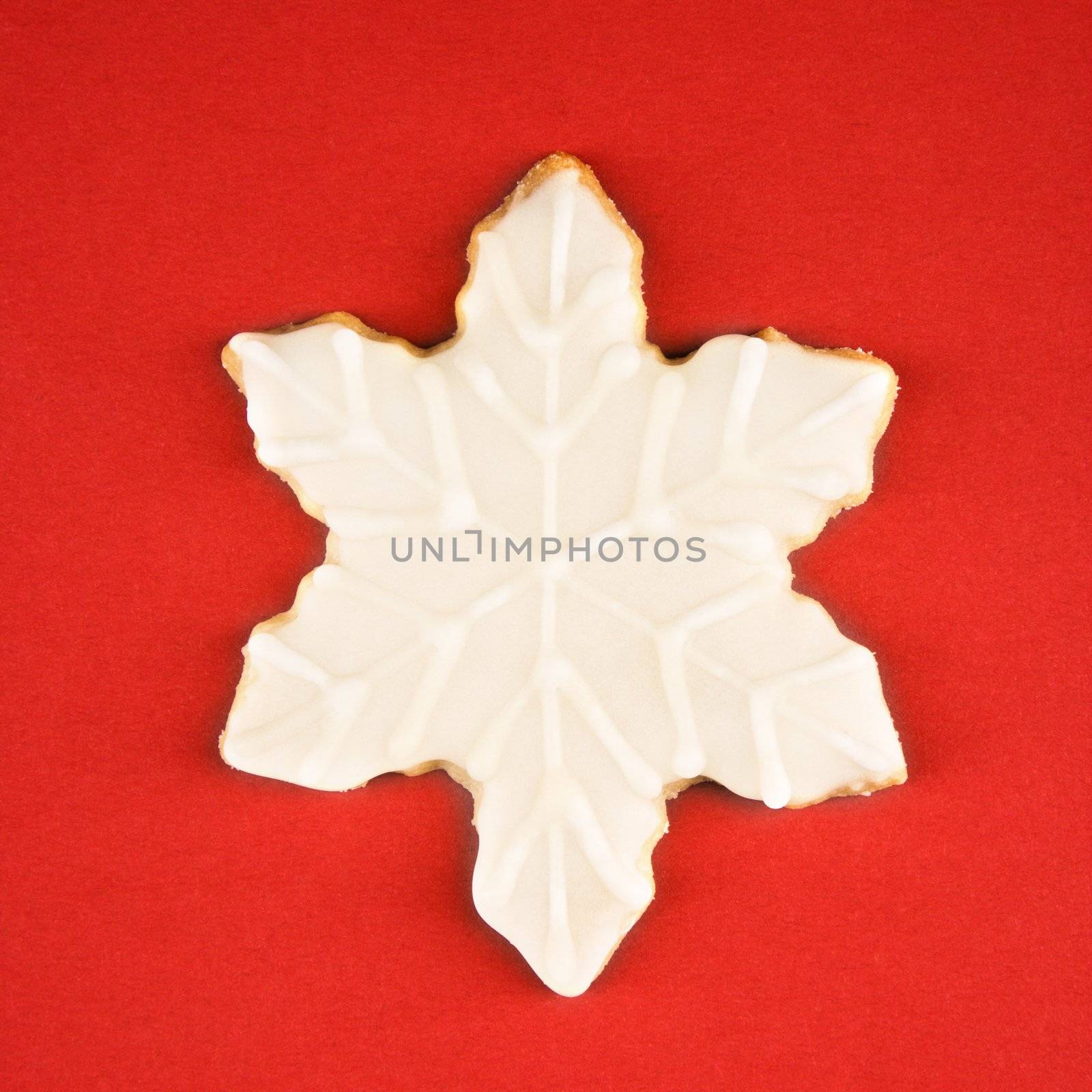 Snowflake sugar cookie with decorative icing.