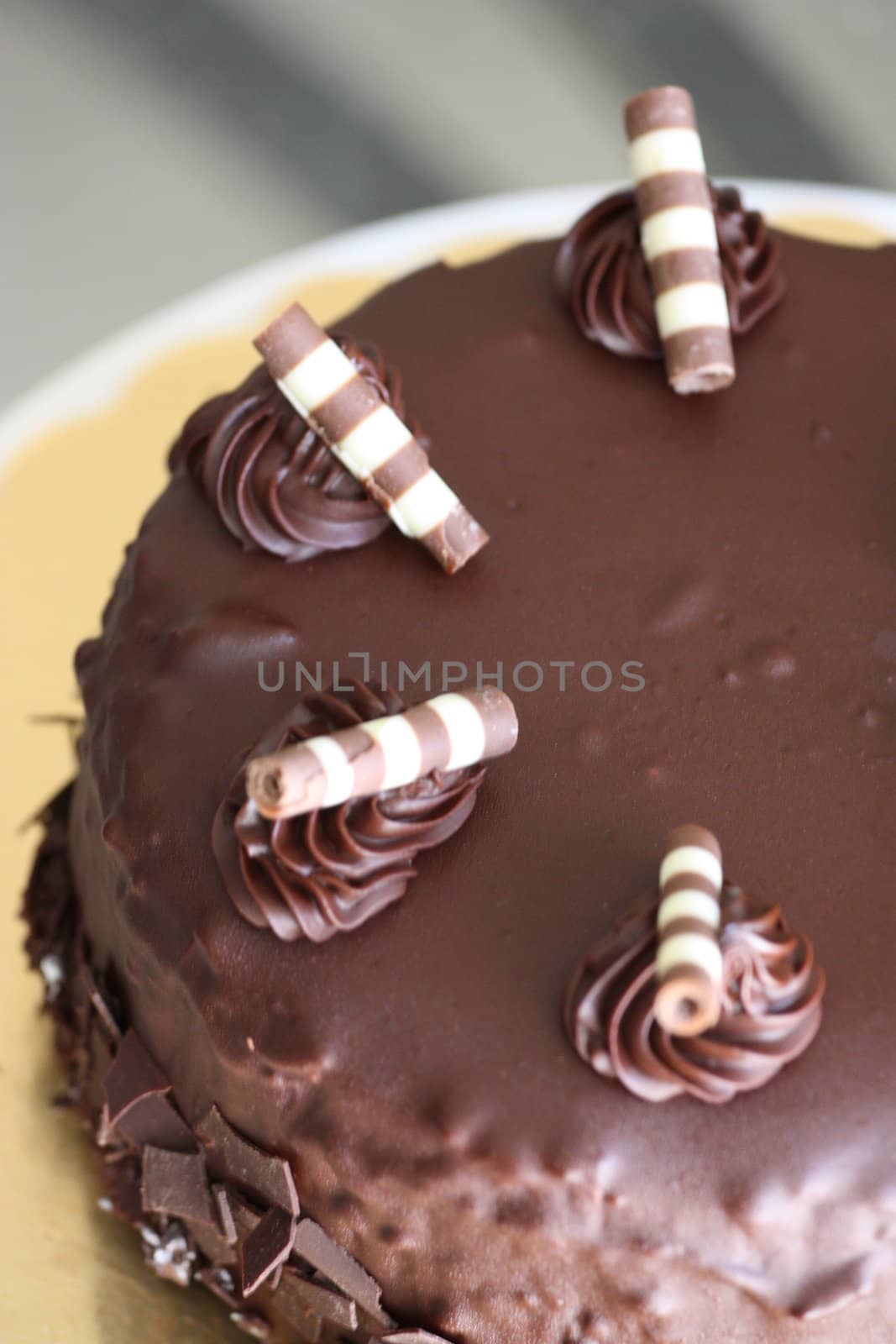 Close up of a chocolate cake on a plate.