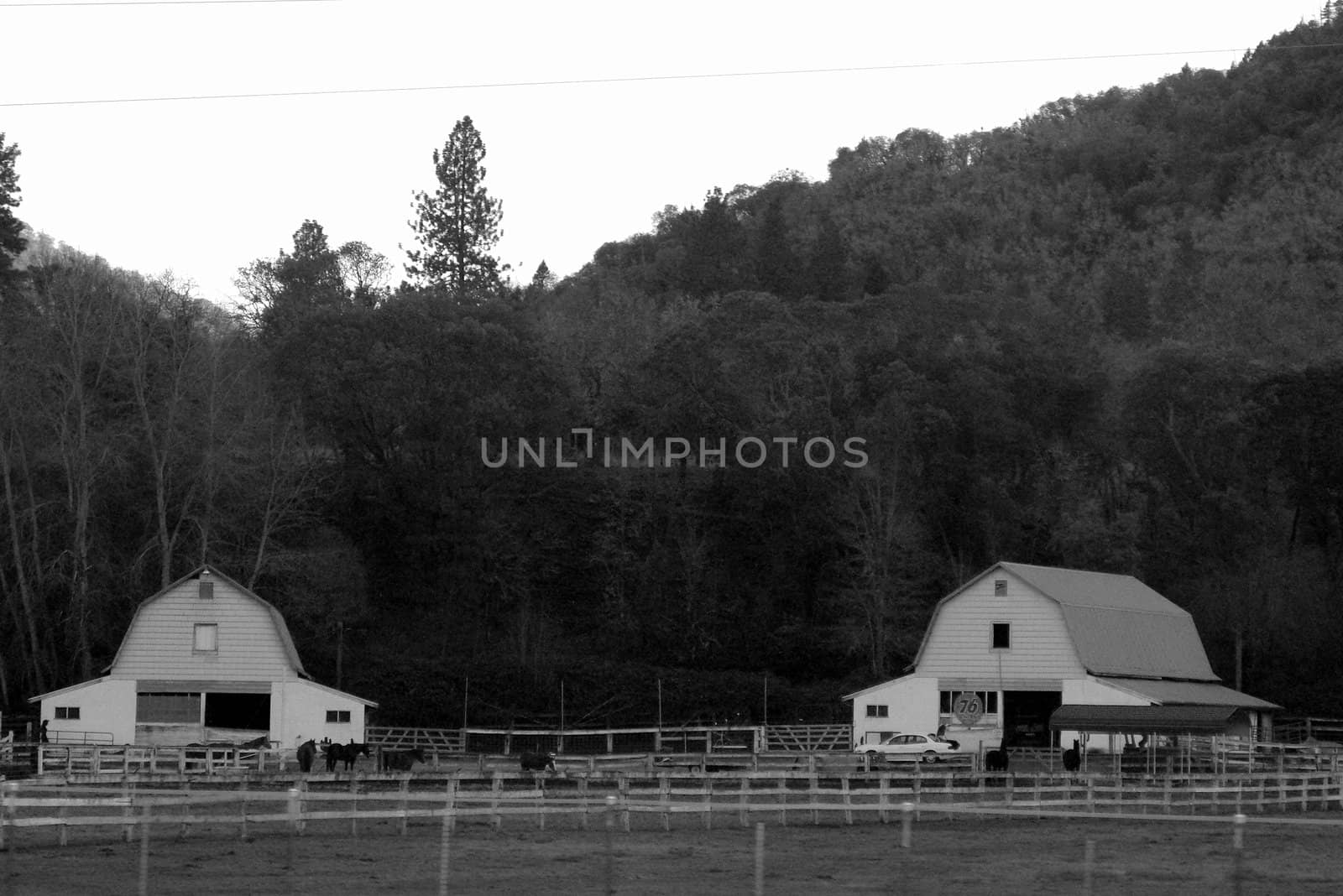Oregon farm, black and white, two barns