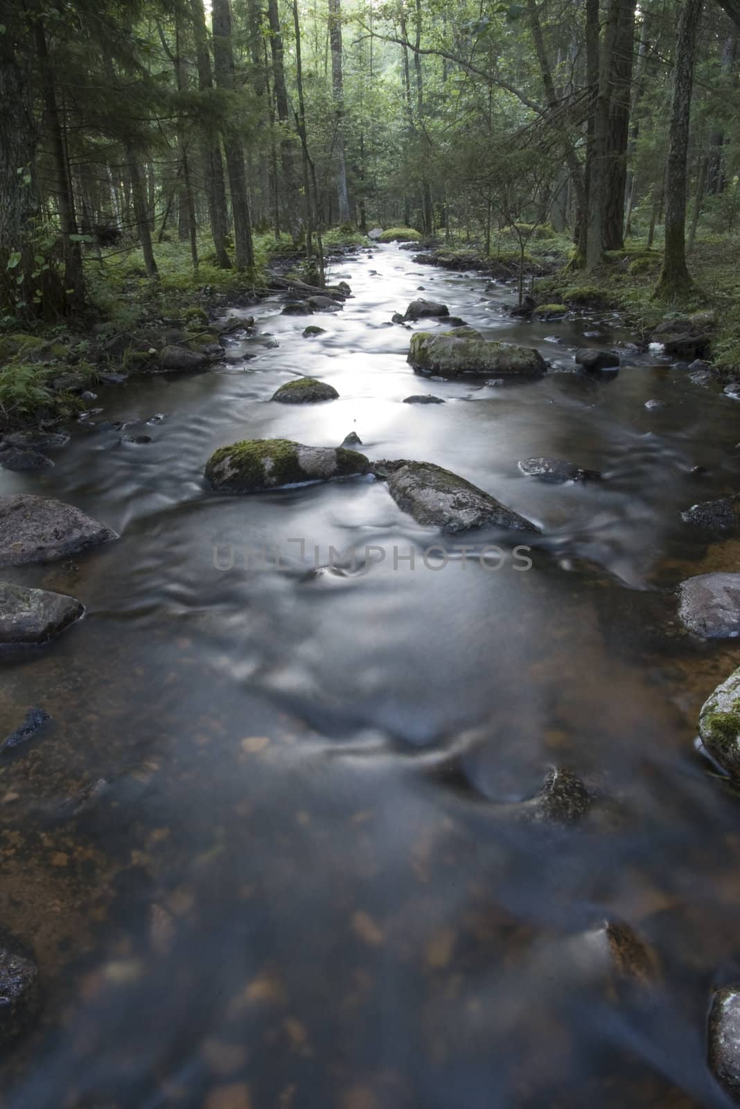 A small river out in the woods, shot with long exposure