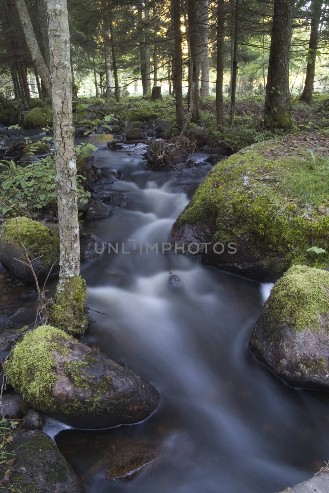 A small river out in the woods, shot with long exposure