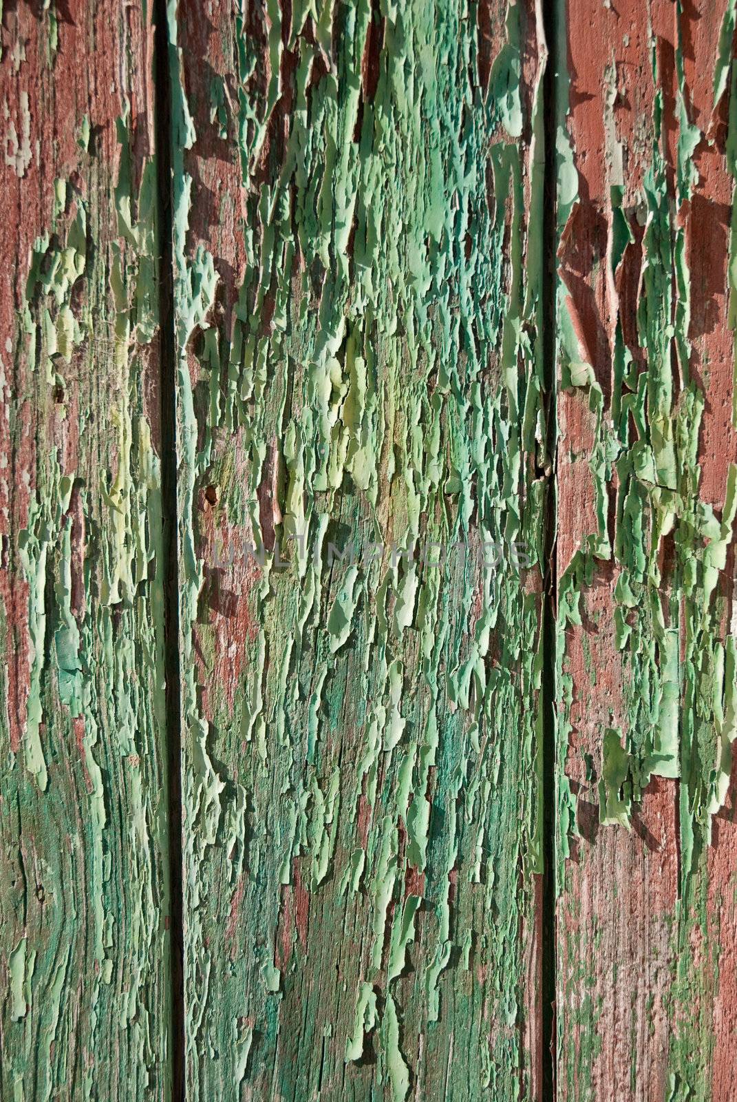 Part of a old woodboard texture painted on green.