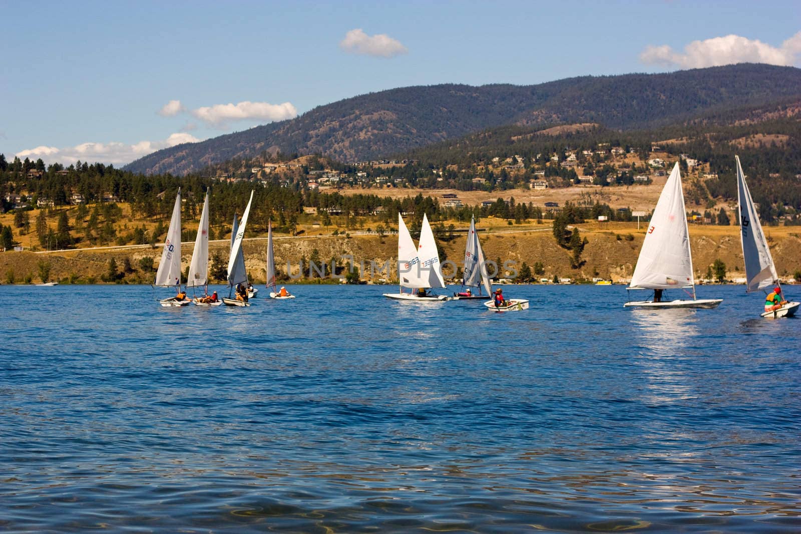 yacht sails on the blue water in a sunny day