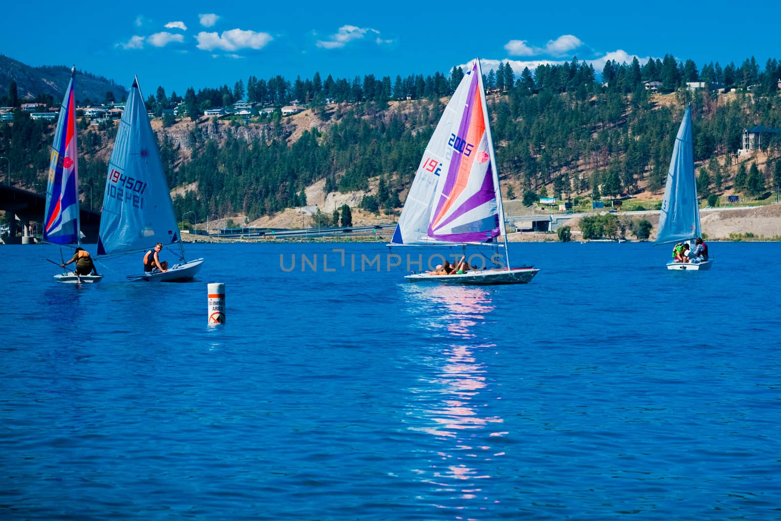 yacht sails on the blue water in a sunny day