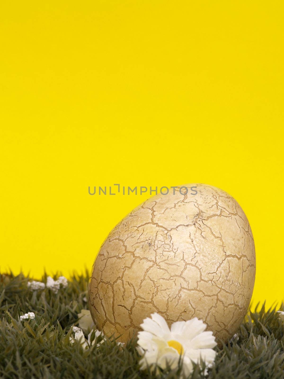 easter egg on floral ground, yellow background