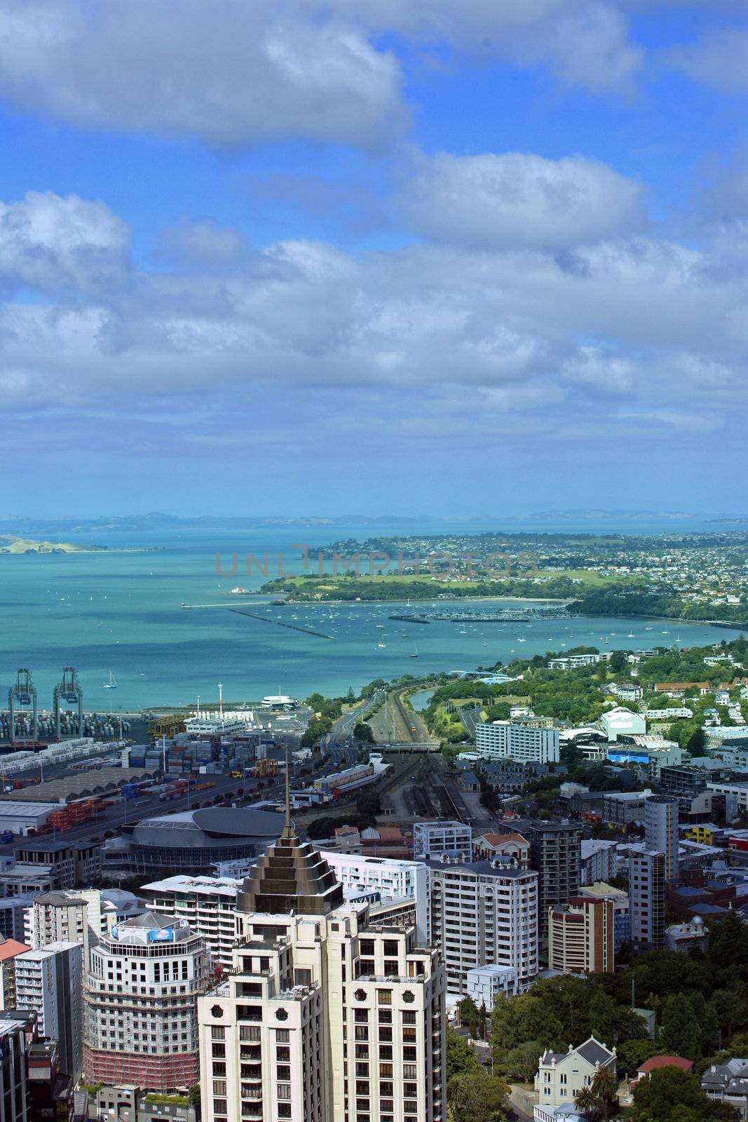 High buildings in Auckland on a background of harbour