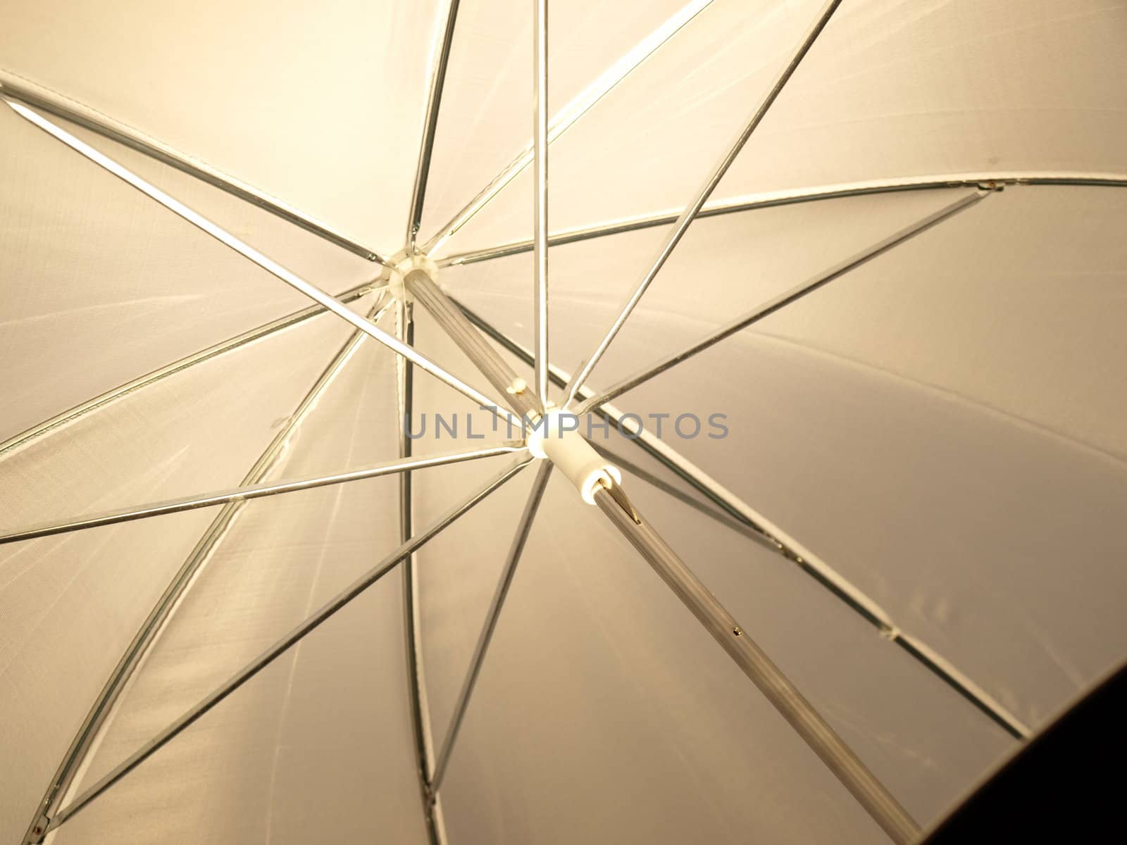 Under a an umbrella at a photo studio