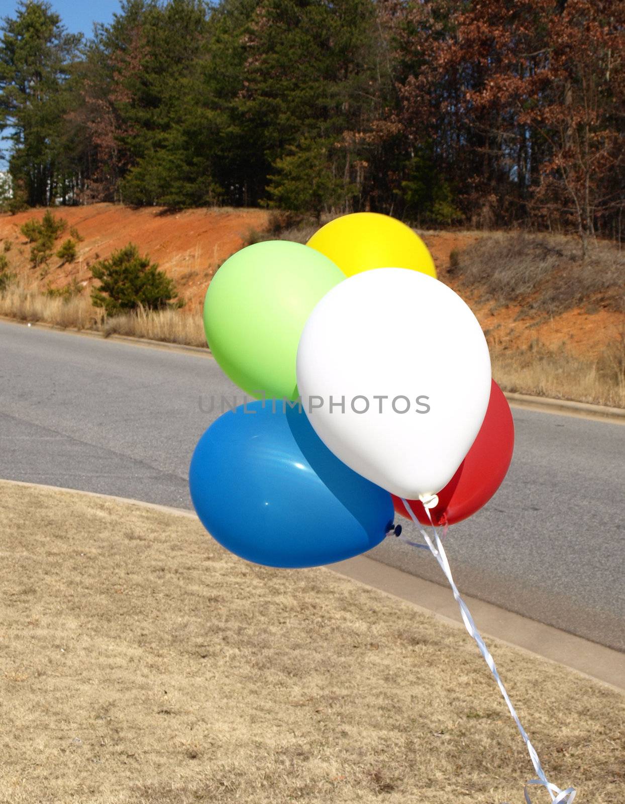 Balloon on the side of a rural road