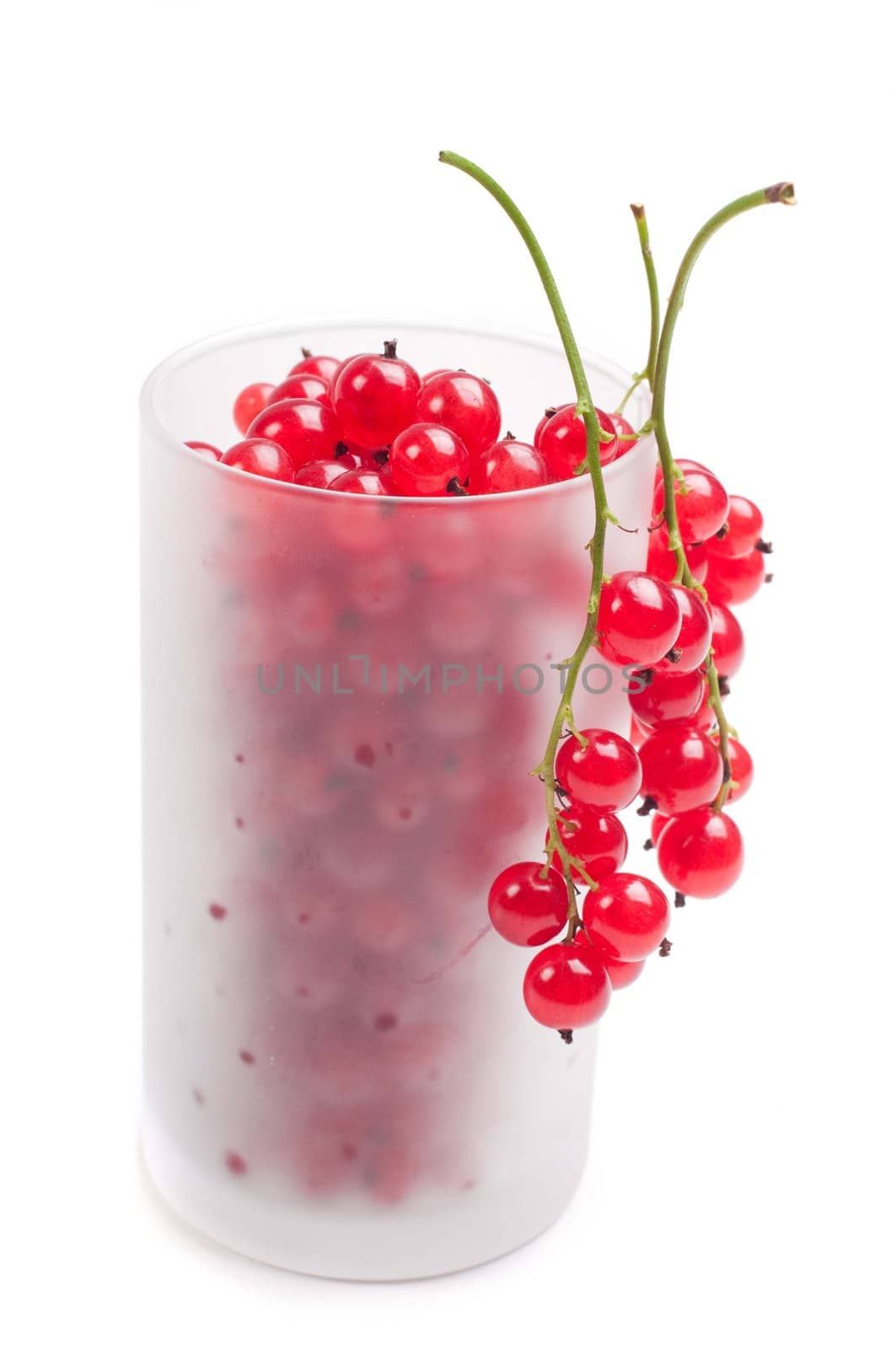 Shot of fresh red currant, healthy eating