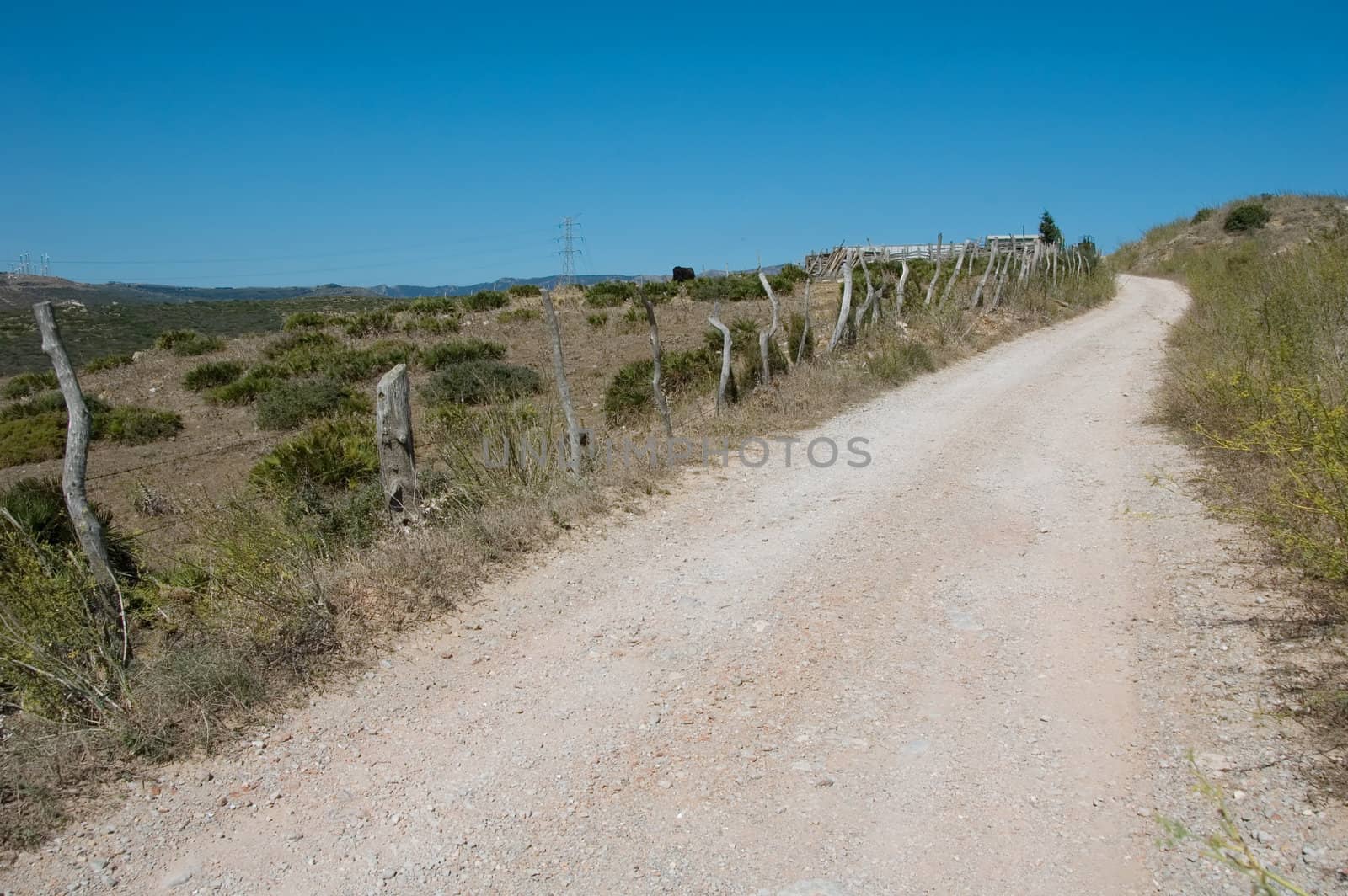 Shot of up road in countryside, nature and blue sky