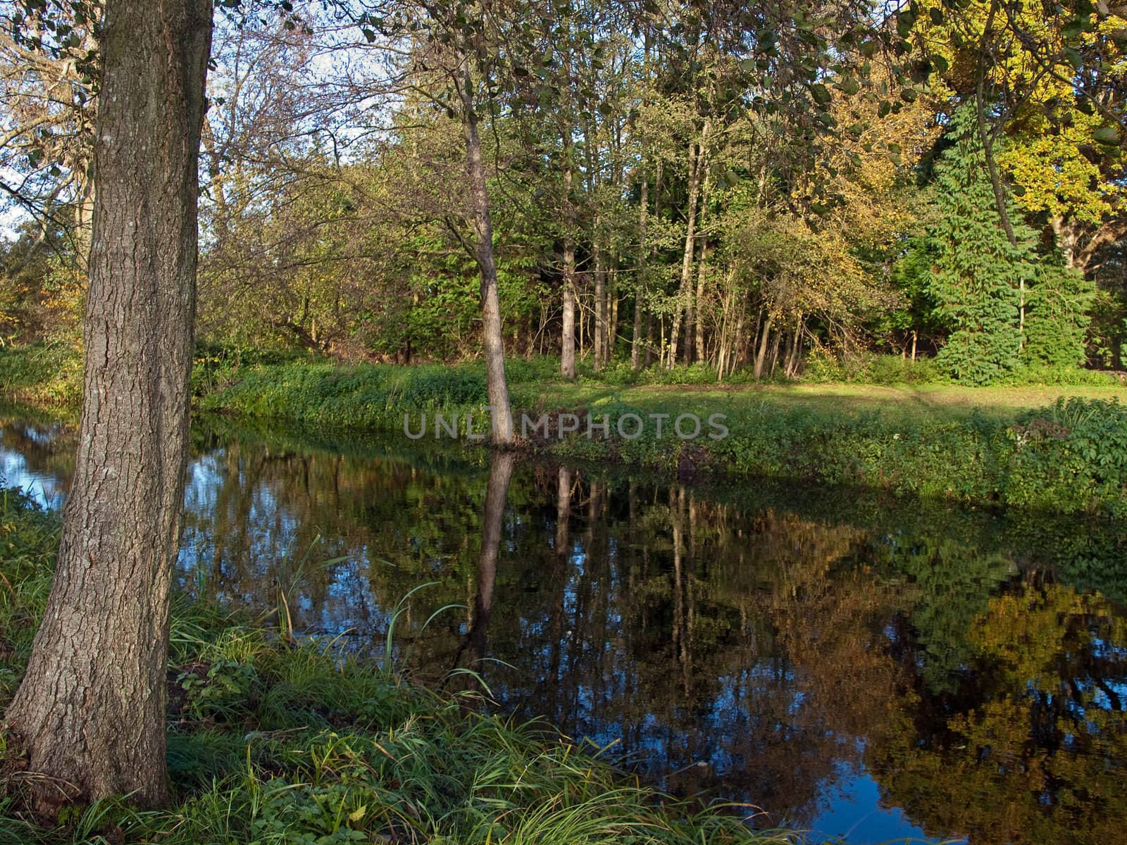 Picturesque autumn landscape of river and colorful trees  by Ronyzmbow