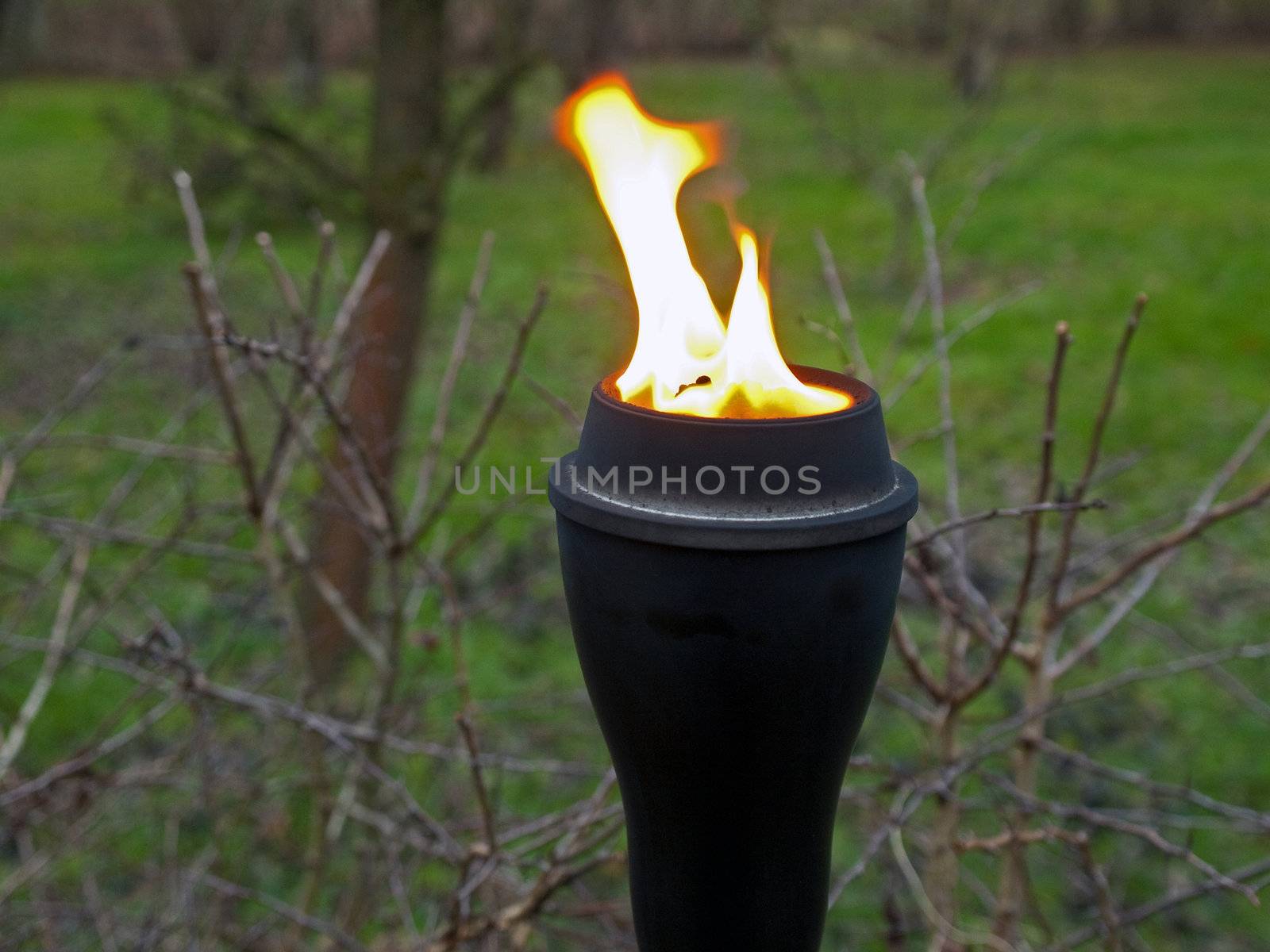 Burning Tiki Torch fire flame with blurred garden background