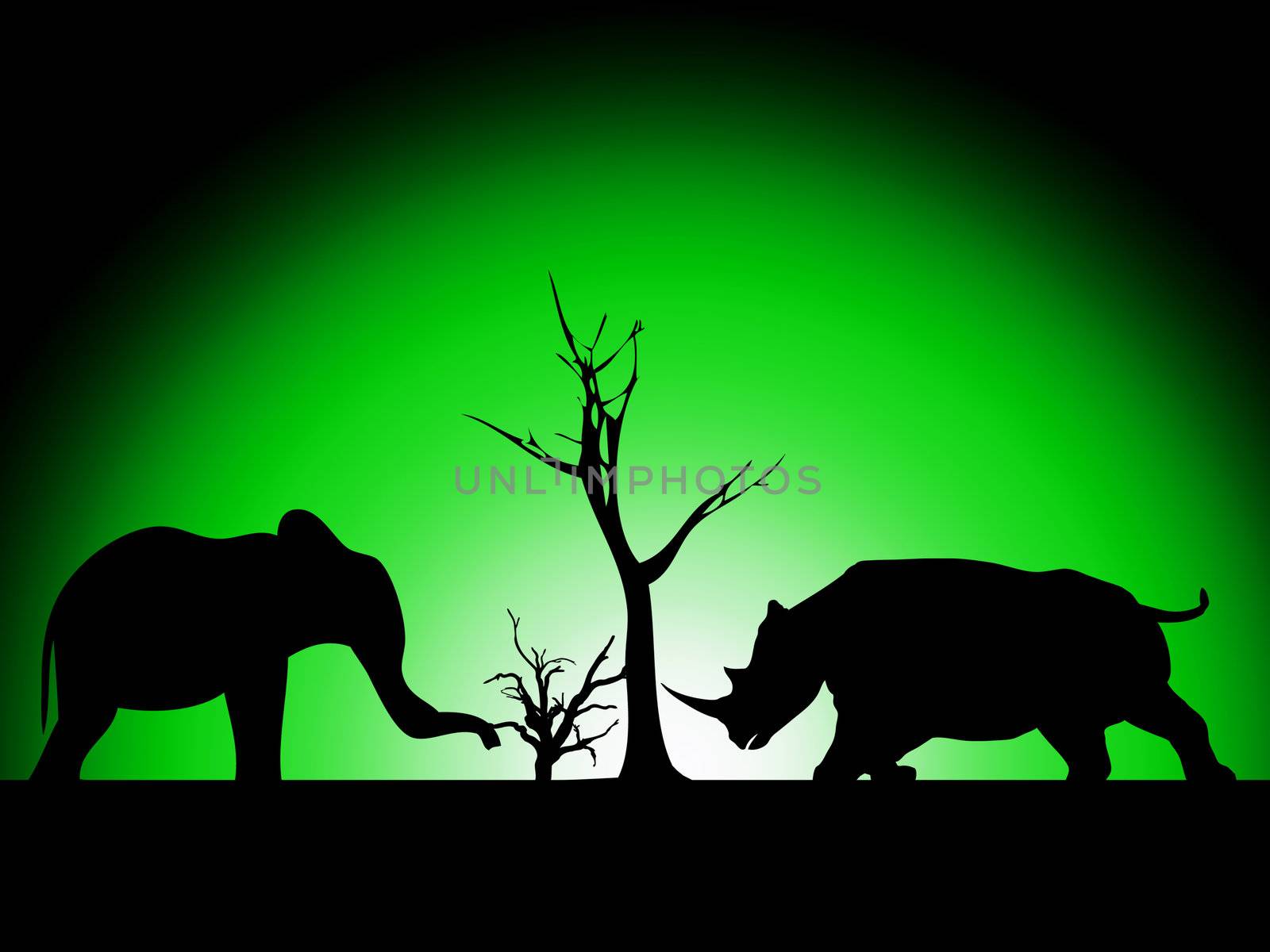 Elephant and Rhino silhouette against a wild landscape.