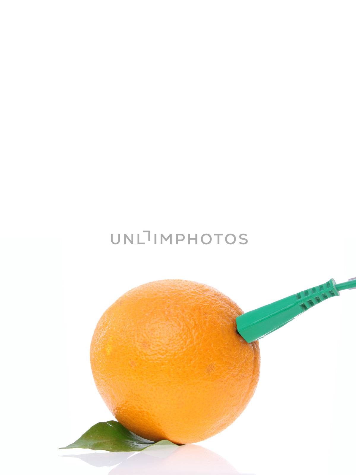 Orange with electrical cable by BDS