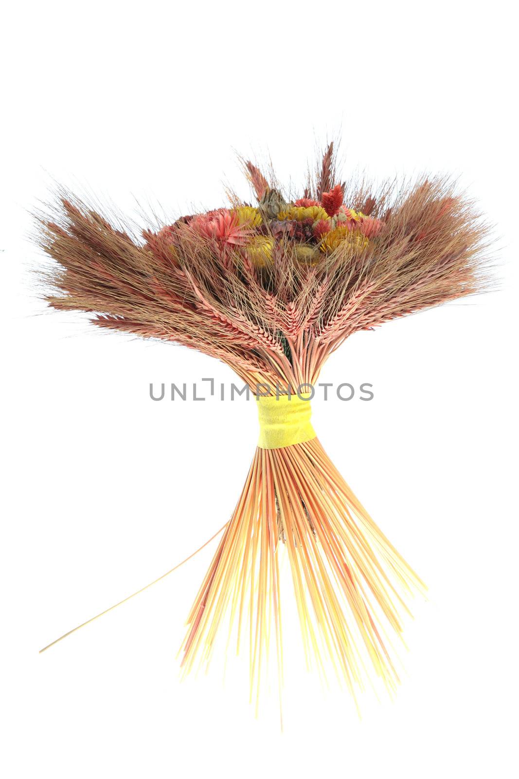 A bouquet of wheat and flowers isolated