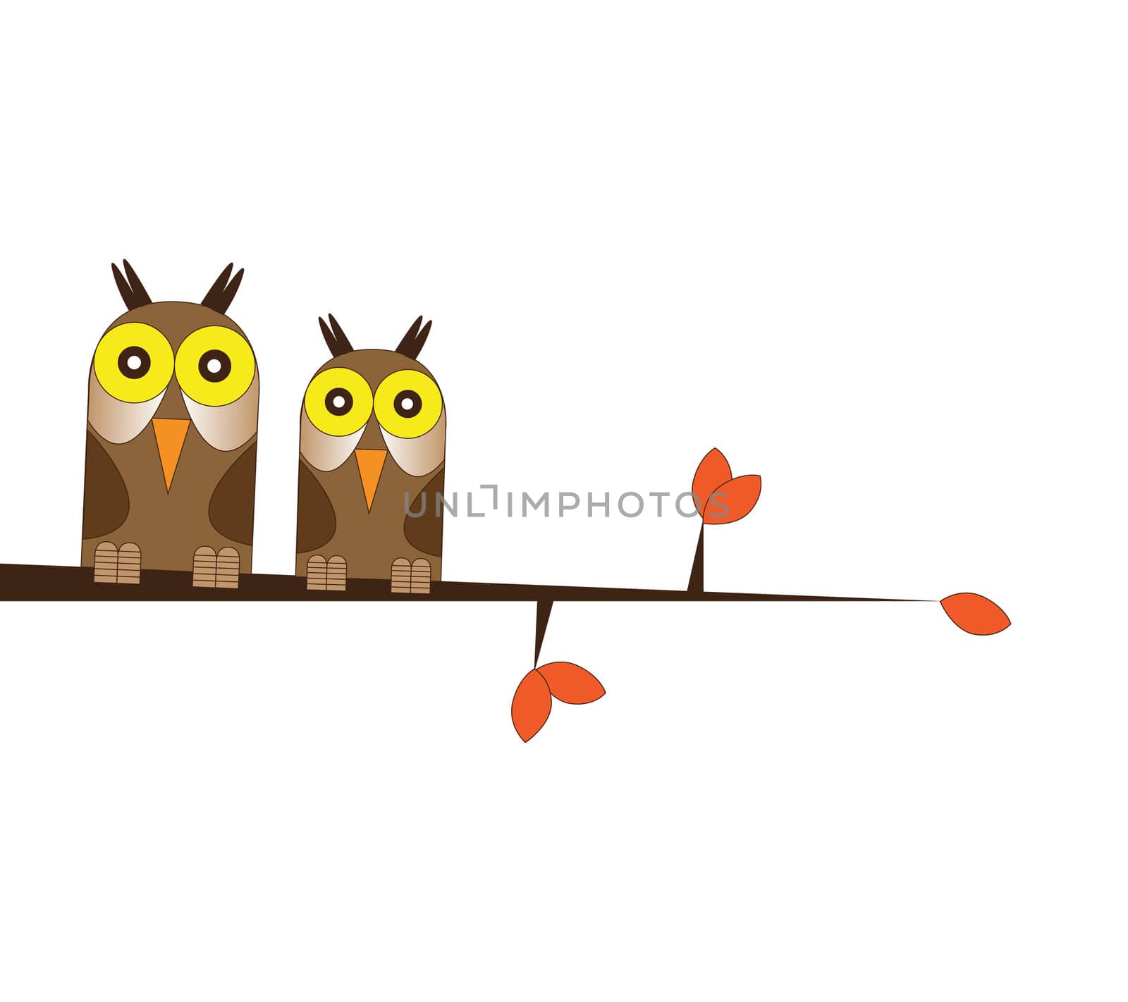 Hand drawn Illustration of two owls, one male, one female, perched on a branch with orange leaves. set on an isolated white background.