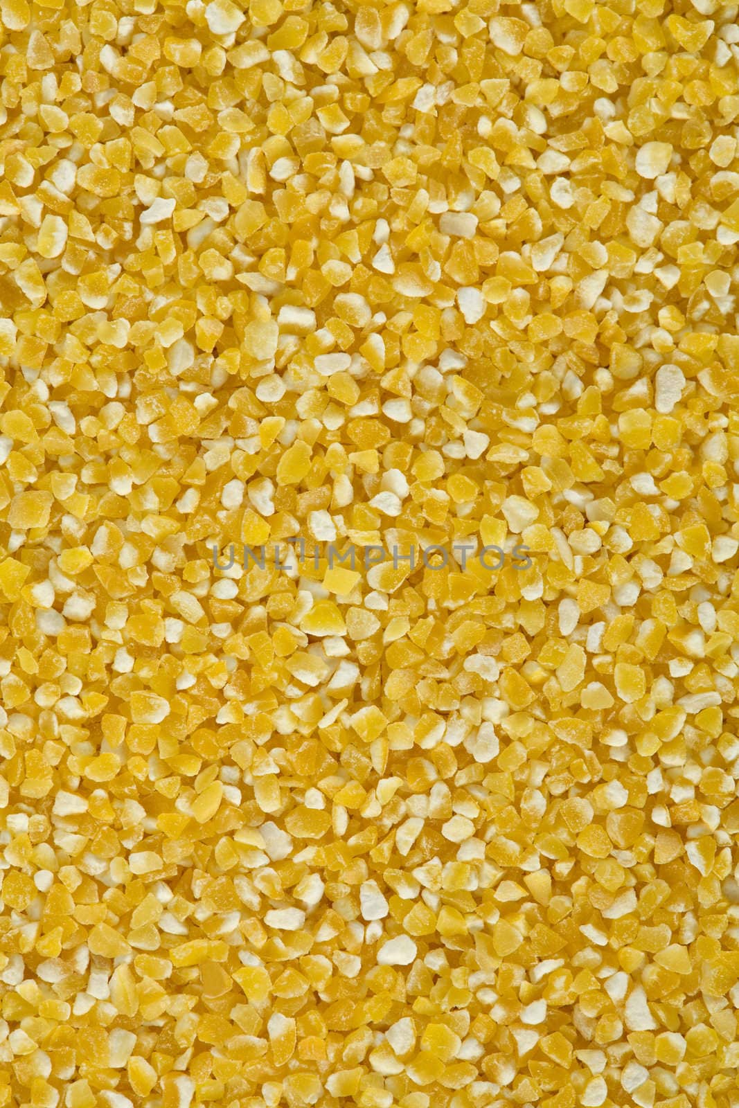 Yellow crushed maize cereals background close up