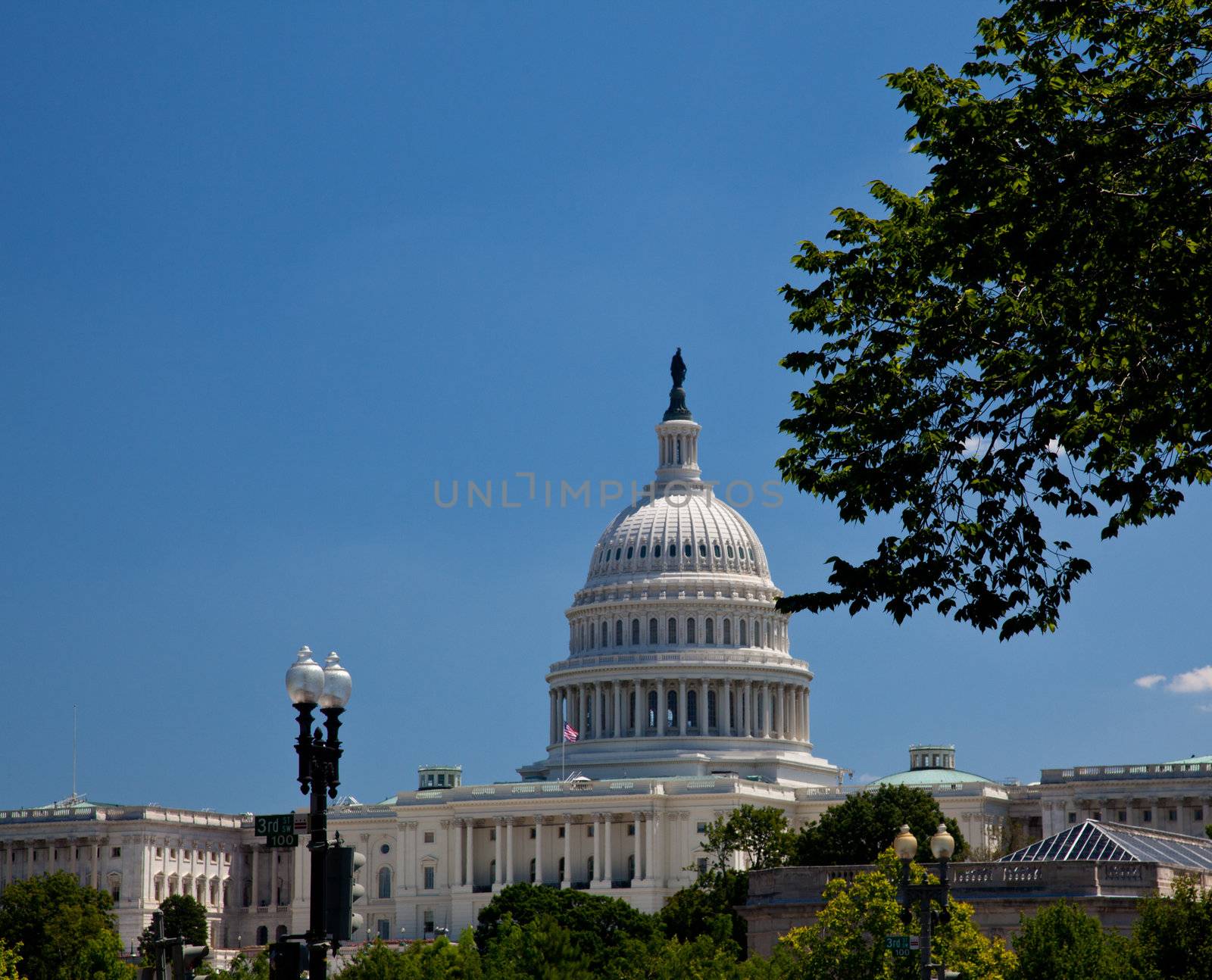 Capitol Building framed by trees by steheap