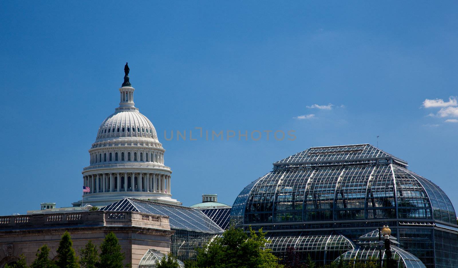 Capitol Building framed by Botanic Gardens by steheap