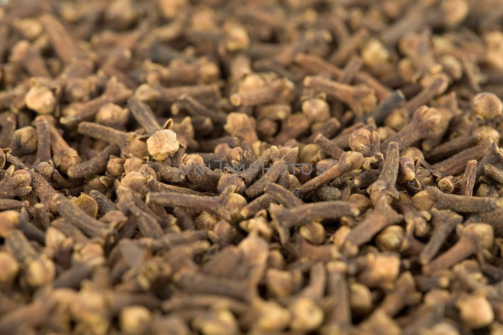 Brown small spice cloves background close up