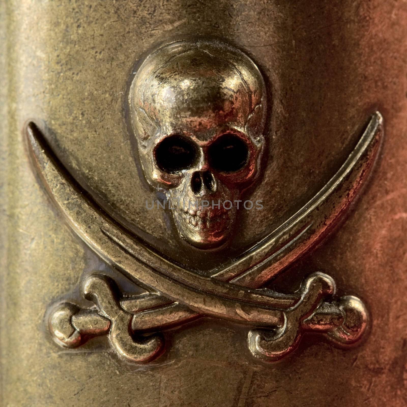 Skull and crossbones on the bronze metal background