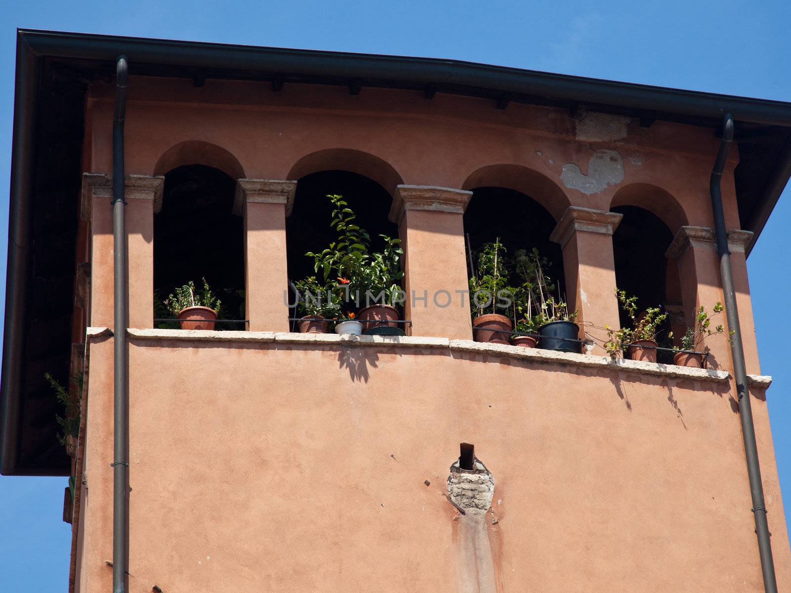 Old windows in Verona by steheap